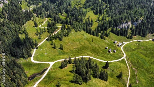 Recording of a drone with a view of the forest, meadow and field paths during the day in austria