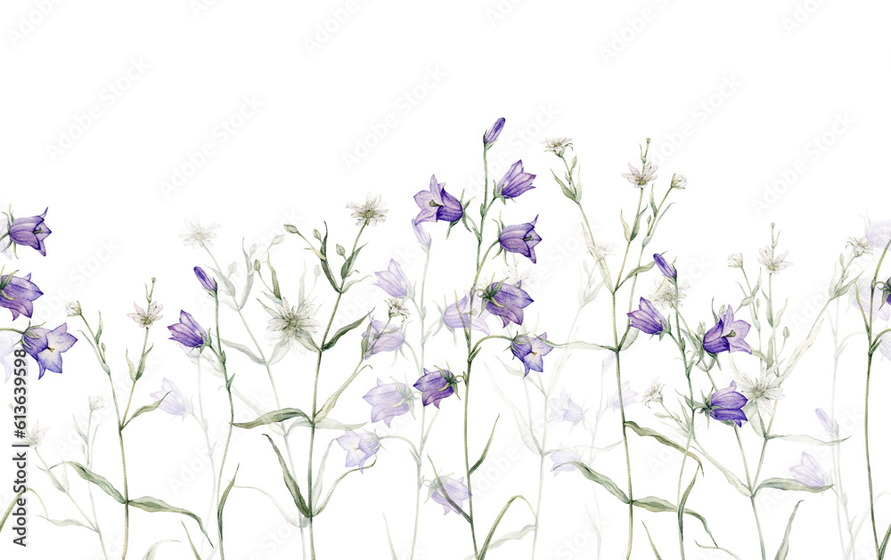 Obraz premium Seamless border of meadow, forest flowers. Campanula patula, little bell, bluebell, rapunzel. Rabelera holostea, stellaria.Watercolor hand painting illustration on isolate white background.