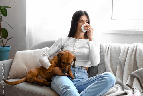 Allergic young woman with dachshund dog sneezing at home