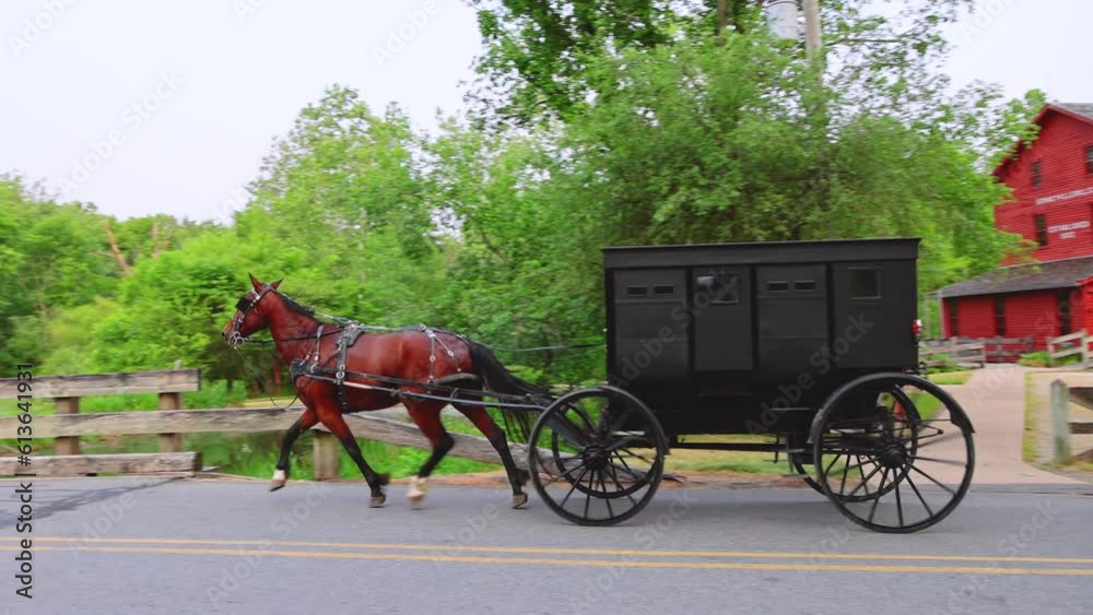 Amish Buggy Passes public park. Bonneyville Mills Park, Elkhart County, Indiana.