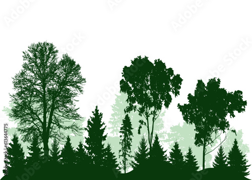 Beautiful landscape  silhouette of deciduous and coniferous trees  forest. Vector illustration