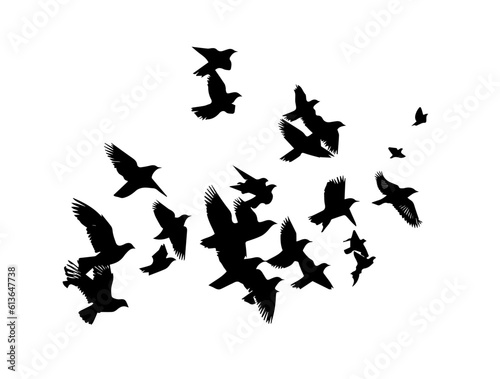 A flock of flying birds. Vector illustration