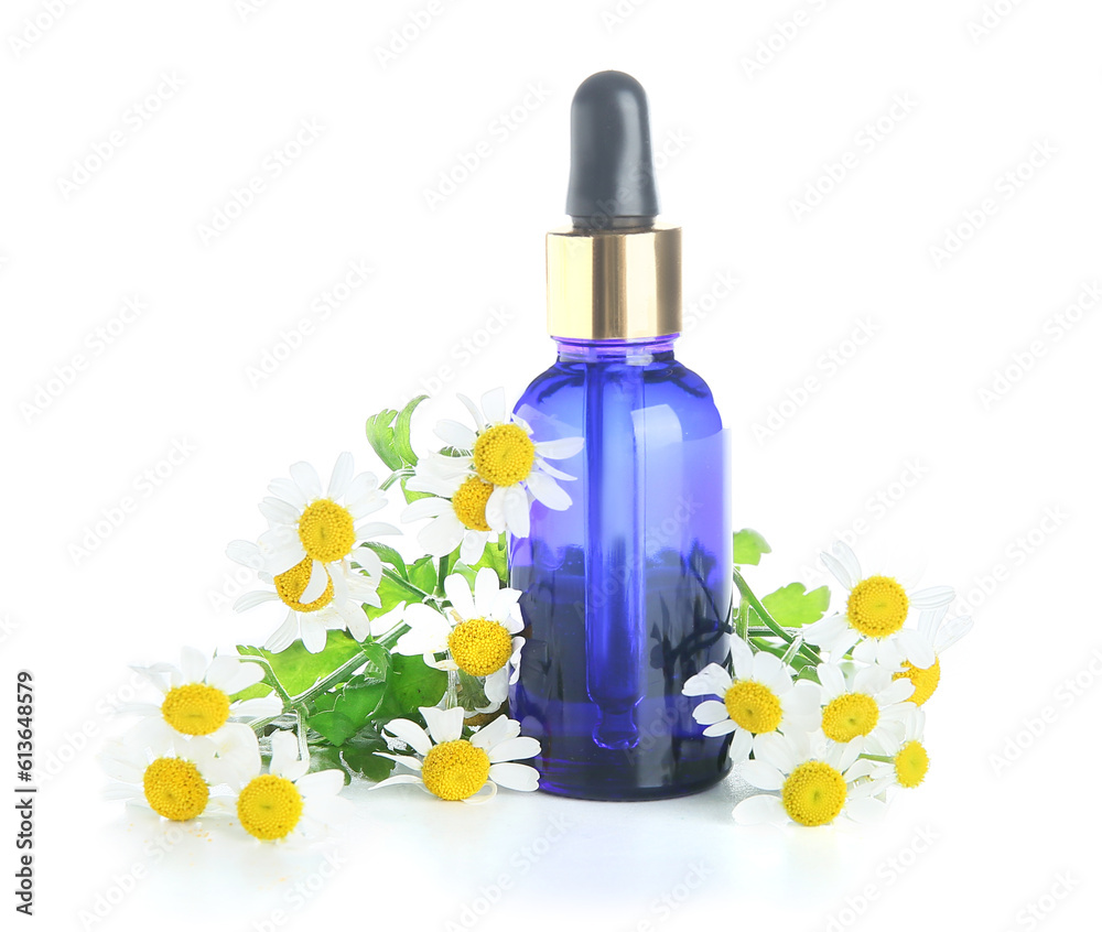 Bottle of essential oil and fresh chamomile flowers on white background Bottle of essential oil and fresh chamomile flowers on white background