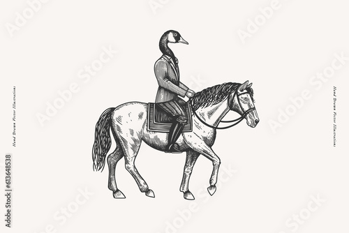 Goose in an elegant costume on a horse in the style of an engraving. Mythical character on a light isolated background. Black and white vector illustration.