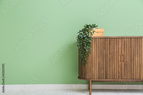 Wooden chest of drawers with houseplant near green wall in room © Pixel-Shot