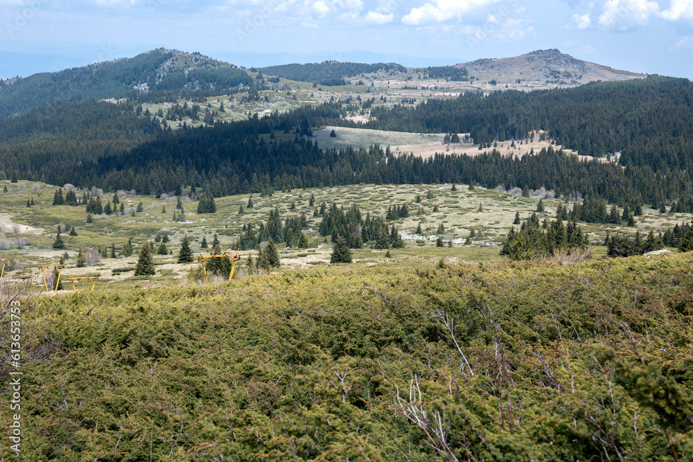 Spring view of Konyarnika area at Vitosha Mountain, Bulgaria