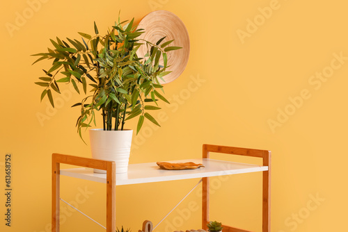 Stylish wooden shelving unit with houseplant and plate hanging on orange wall in room, closeup