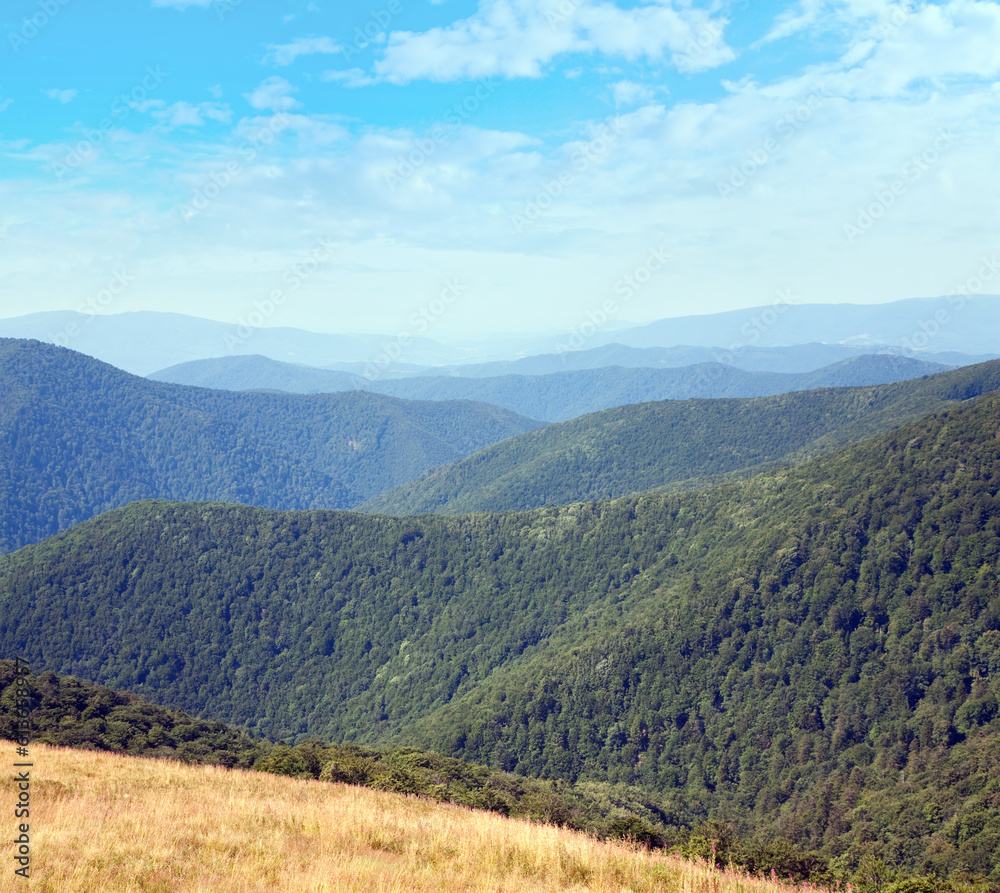 Summer hazy mountain landscape with green forest on slope (Ukraine, Carpathian Mountains)