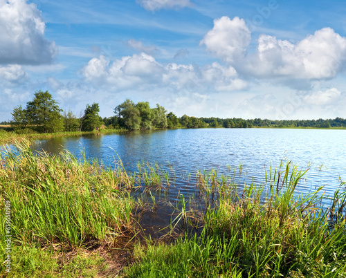 Summer rushy lake view with small grove on opposite shore