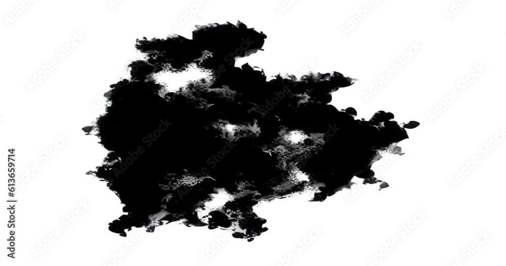 Abstract Black Ink Blot Bleeding and moving on a White Background Abstract Black Ink Blot Bleeding and moving on a White Background