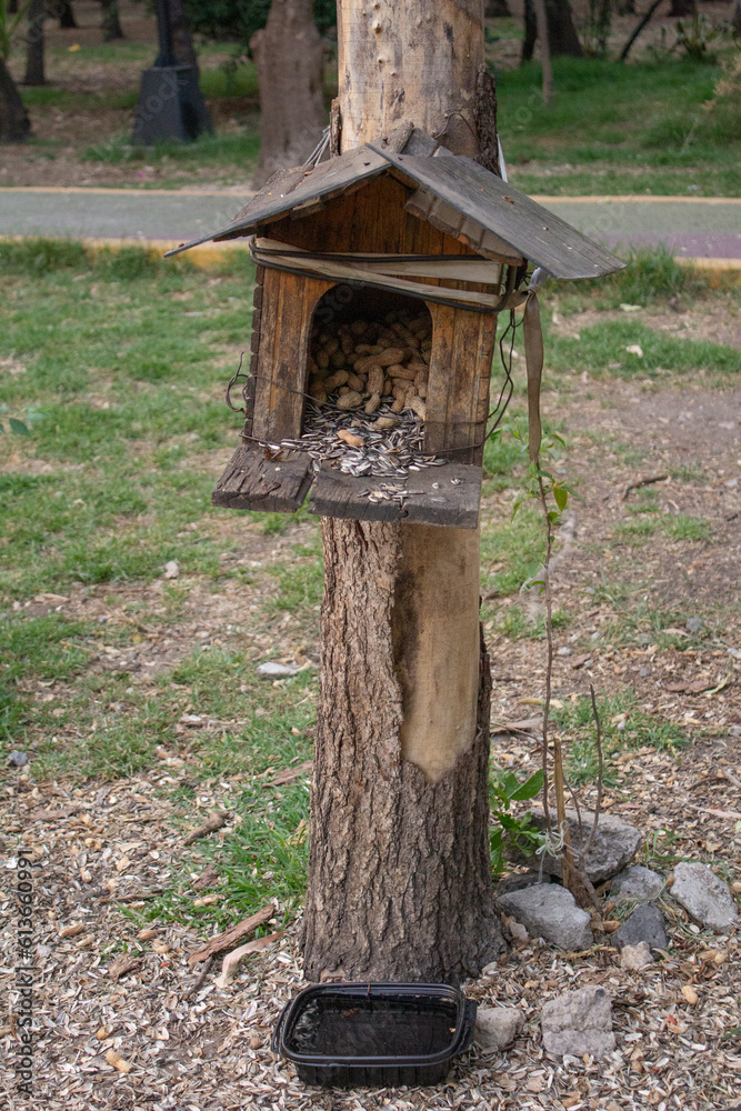 CASA DE MADERA PARA ARDILLA CON CACAHUATES EN EL PARQUE CASA DE MADERA PARA ARDILLA CON CACAHUATES EN EL PARQUE