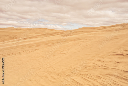 Cloudy textured landscape of Great Sandhills Ecological Reserve