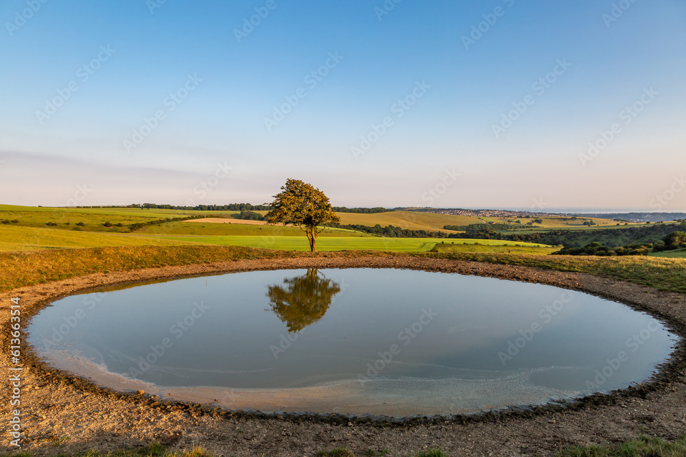 A dew pond on Ditchling Beacon, with evening light A dew pond on Ditchling Beacon, with evening light
