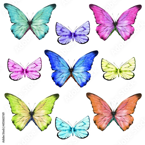A set of summer butterflies. Watercolor illustration, poster.