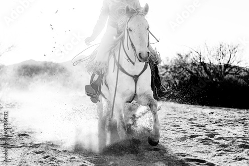Sliding stop by Mustang horse in Arizona desert