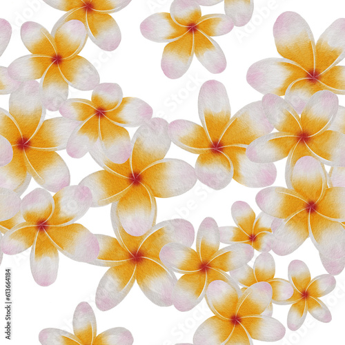 Watercolor tropical flowers plumeria frangipani seamless pattern