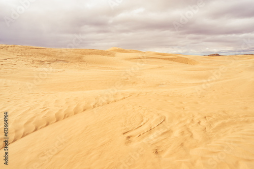 Textured sand of Sandhills Ecological Reserve