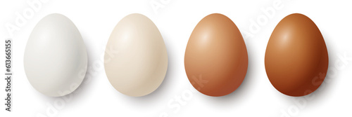 Vector 3d Realistic White and Brown Chicken Eggs Closeup Isolated. Chicken Egg Set. Vector Different Color Whole Eggs. Egg in Front, Top View