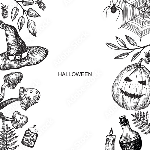 Halloween vector illustration background template for autumn holiday with pumpkin, lantern, toadstool, spider, plants, mystic symbols hand drawn. Design element for card, poster, polygraphy, banner