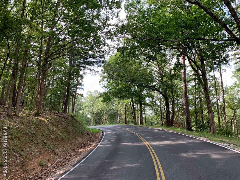 road in the Ozark forest