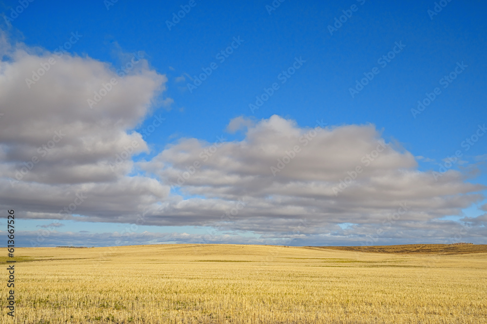 Blue sky and cloudy prairie landscape