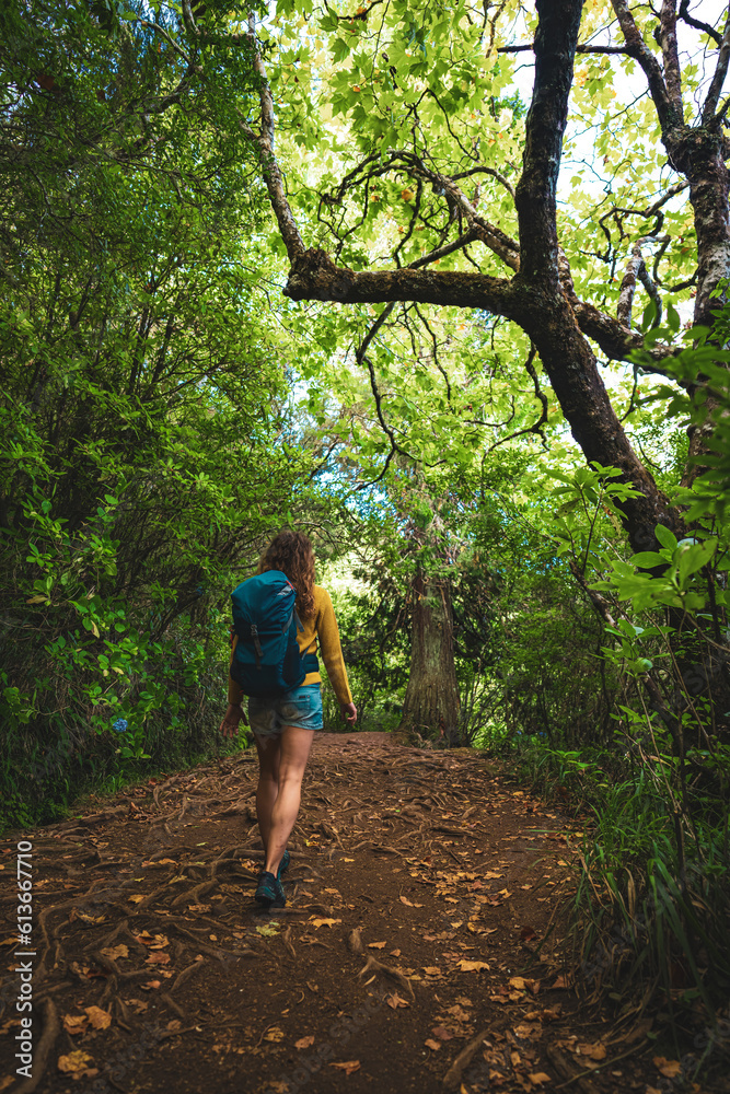 Tourist woman walks next to canal through Madeiran rainforest on the hiking trail in the morning. Levada of Caldeirão Verde, Madeira Island, Portugal, Europe.