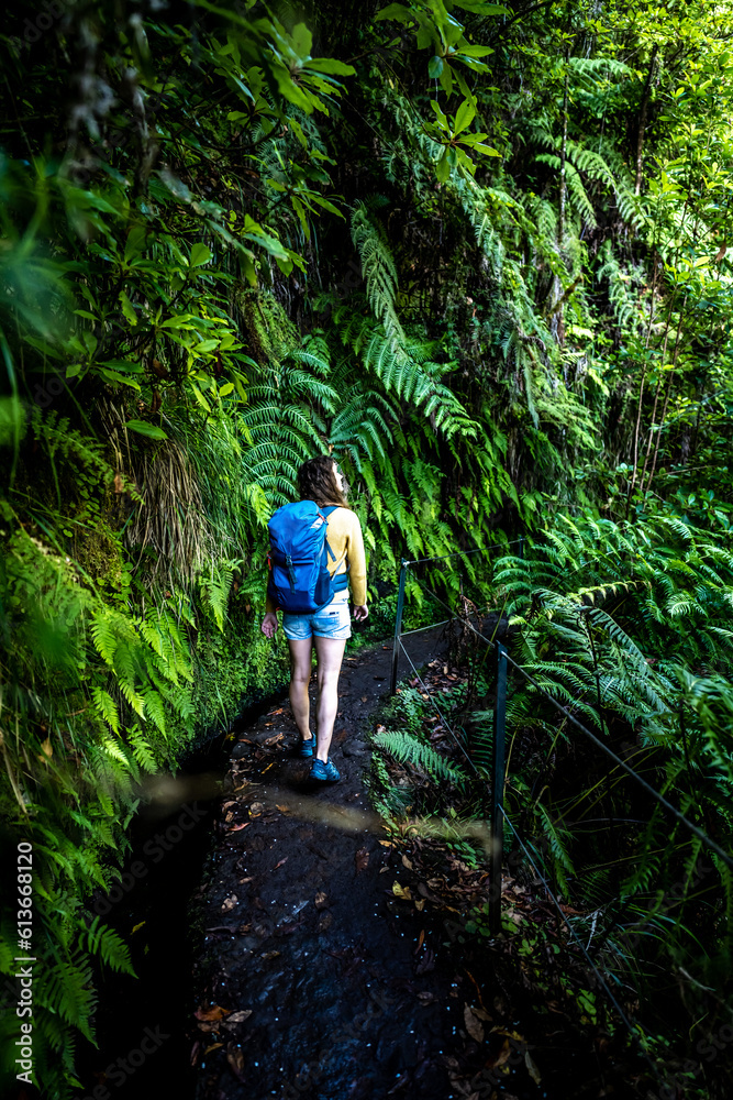 Tourist woman walks next to canal through Madeiran rainforest on a fern covered hiking trail in the morning. Levada of Caldeirão Verde, Madeira Island, Portugal, Europe.