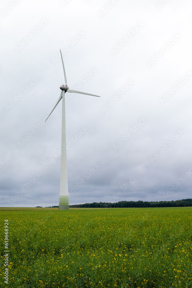 Wind power plant in the green field view and distant forest at summer morning. Vertical photo Wind power plant in the green field view and distant forest at summer morning. Vertical photo