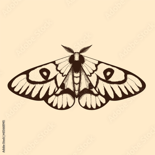 Vector moth, mystic symbol and signs. Witchcraft, occult, alchemical signs. Butterfly moth vintage engraved style