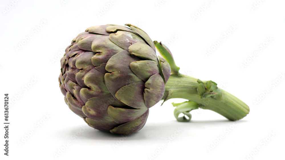 close up of a group of artichokes on a white background close up of a group of artichokes on a white background