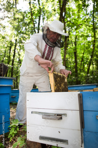 Beekeeper is working with bees and beehives on the apiary. Beekeeping. Apiculture.