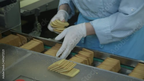 static close up shot of an employee arranging groups of cookies on a conveyor line before packaging