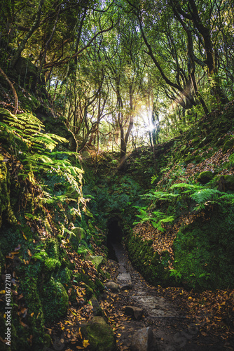 Tunnel entrance along an overgrown jungle trail next to a canal in Madeira rainforest. Levada of Caldeirão Verde, Madeira Island, Portugal, Europe.