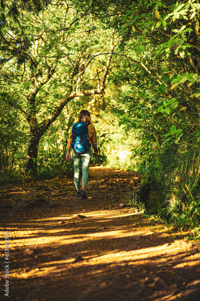 Obraz premium Tourist woman walking along jungle footpath next to water channel through light filled Madeiran rainforest during golden hour. Levada of Caldeirão Verde, Madeira Island, Portugal, Europe.