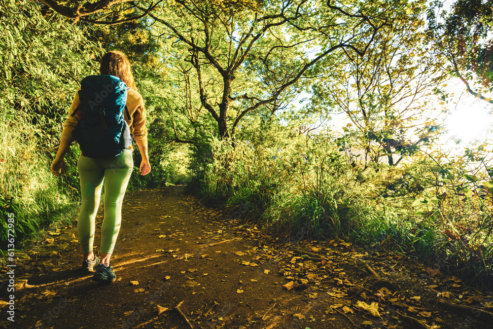 Tourist woman walking along jungle footpath next to water channel through light filled Madeiran rainforest during golden hour. Levada of Caldeirão Verde, Madeira Island, Portugal, Europe. Tourist woman walking along jungle footpath next to water channel through light filled Madeiran rainforest during golden hour. Levada of Caldeirão Verde, Madeira Island, Portugal, Europe.