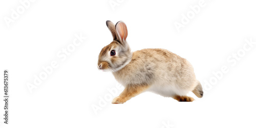 a spring-themed illustration featuring adorable isolated bunnies and rabbits running, jumping, and bouncing all set on a transparent background and provided in PNG. Generative AI