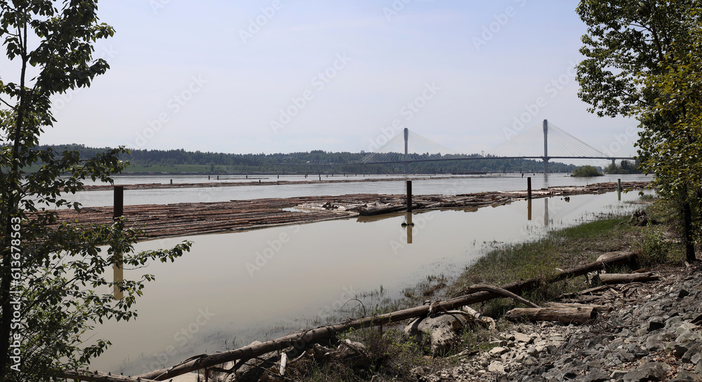 Fototapeta premium Rafts made of wooden logs moored at the river