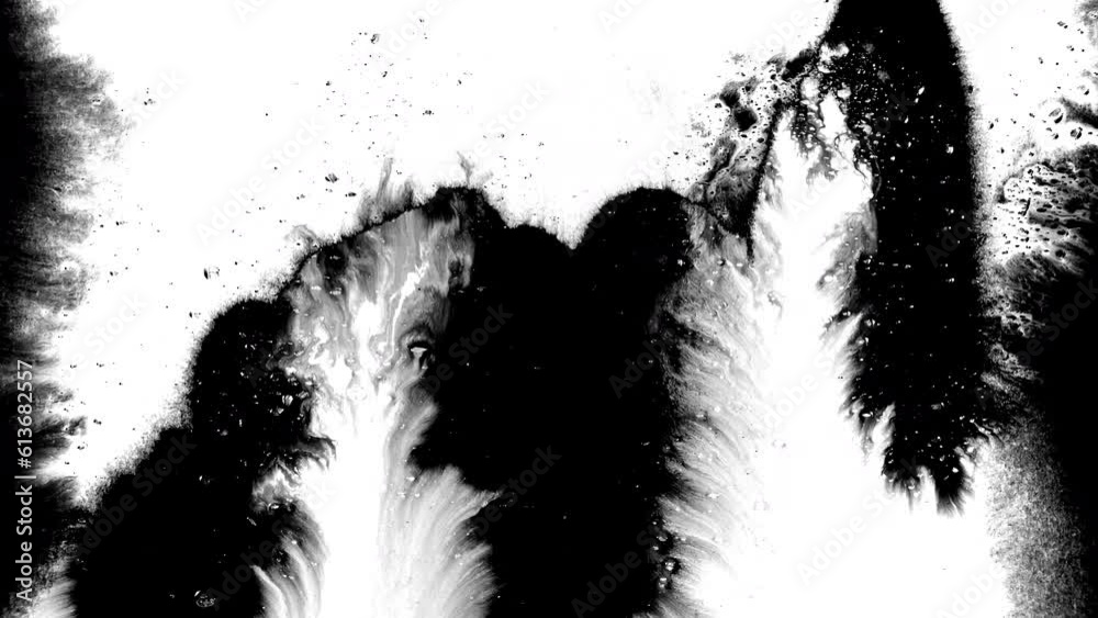 Black ink abstract background artistic flow splatter spots spills white paper beautiful reveal dripping streaks spread fluid ink alpha matte isolated watercolor ink drops transition