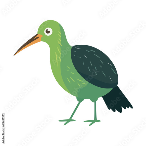 Cute kiwi bird with long peak