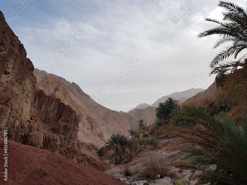 Mountain gorge with palm trees Egyptian Vaadi 