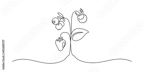 Berries on plant in one continuous line drawing. Fruit and strawberries in simple linear style. Label for jam and yogurt banner in editable stroke. Doodle vector illustration