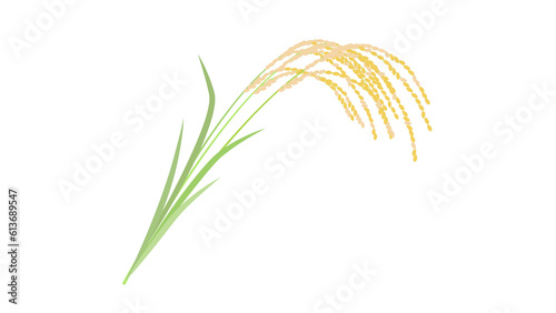 稲穂（背景透過）のイラスト