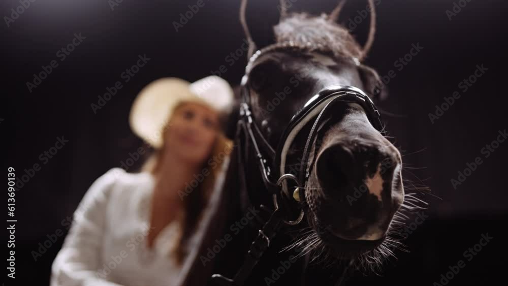 Portrait Of A Horse And Lady In A Studio Portrait Of A Horse And Lady In A Studio