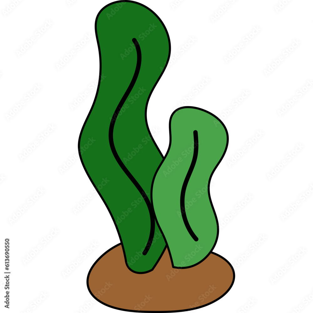 여름의 자연들 여름의 자연들