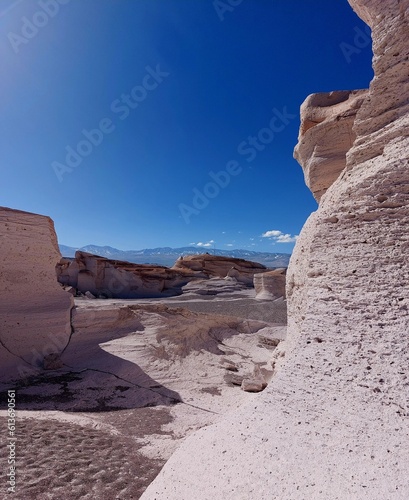 pumice stone