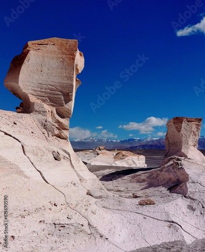 pumice stone