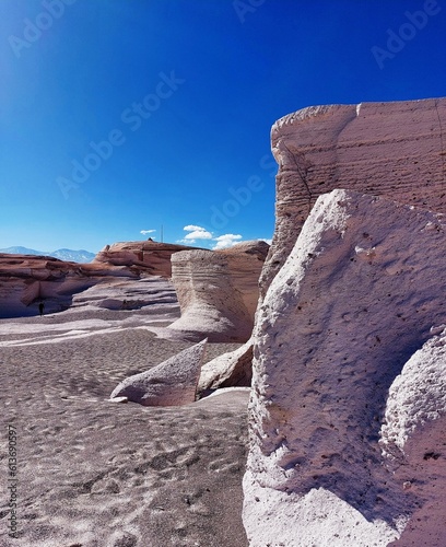 pumice stone