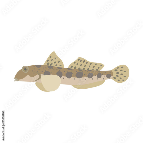 マハゼ。フラットなベクターイラスト。
Yellowfin goby. Flat designed vector illustration.