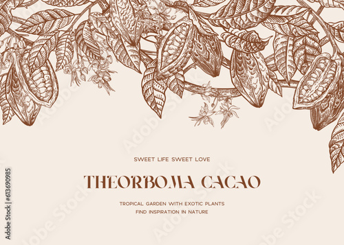 Floral border. Cocoa plant. Fruits, flowers, leaves. Engraving style.