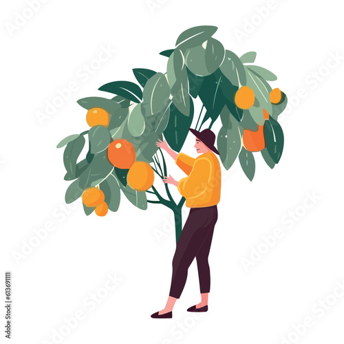 man holding fruit tree, harvesting season